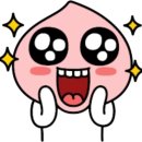 다이나믹 복싱체육관 이미지