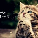 매일좋은날
