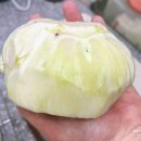 영순농장 이미지