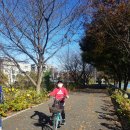 봉동 자전거 대여소 이미지