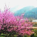 꽃뜰펜션 이미지