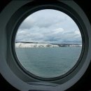 허브애견 이미지