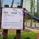 해뜨는봄봄 이미지