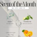 필라테스본연