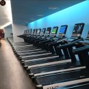 제임스짐 이미지