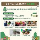 종수네 | 아이와 가기 좋은 세종 봄나들이 추천 국세종수목원 플라워빌리지 체험 프로그램 총정리