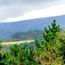 특수전사령부(제주훈련장) 이미지