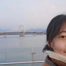 문화광장길 | [춘천] 춘천시 문화광장숲 강추 후기 🌅✨️