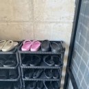 콘크리트 맨숀 | 내가 묵은 제주 동쪽, 북쪽 게스트하우스 후기 (콘크리트맨숀, 제제댁 게스트하우스)