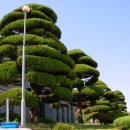 부산여자고등학교 이미지