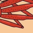 포도시스 이미지