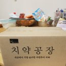 수아즈코리아
