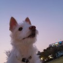 우리들동물종합병원 이미지