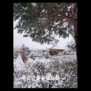 산과 벗 캠핑장 | 용인 캠핑장 수영장 용인단풍숲캠핑장 깨끗함과 자연 휴식이 공존한다