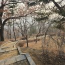 DMZ 평화의 길 4-1코스(지선코스) 이미지