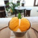 미미당906 이미지