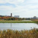 화랑유원지 이미지