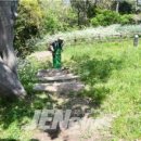 식산봉의 황근자생지 및 상록활엽수림 이미지