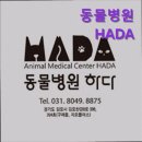 김포동물병원 | [김포 호텔/가격/후기] 동물병원HADA 김포 동물병원 HADA, 믿고 맡길 수 있는 곳