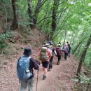 대성골2 이미지