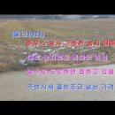 밀성로 Daum카페