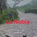 La Novia 이미지