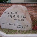 천주교 대구대교구 100주념 기념 대축제 이미지