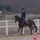 탑(TOP) 승마클럽 이미지
