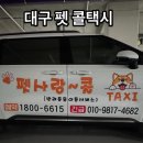 펫사랑 콜 이미지