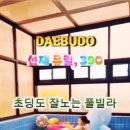 선재유일390 이미지