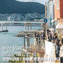 ㈜영도 | [부산 워케이션]부산 영도구 가볼만한 곳I깡깡이마을I흰여울문화마을I태종대I씨씨윗북
