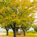 사포회관 이미지