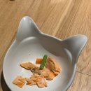 띵킹 독(Thinking Dog) 이미지