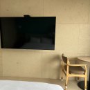 (주)엔바이로젠 | 급하게 떠난 여수여행, 여수 깔라까따 호텔 리조트 더 스위트룸 D동 후기