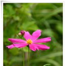 하늘생각 이미지