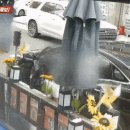 모아편의점 앞 이미지