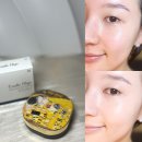 (주)인터코스 | 여름철 쿠션 추천 : 에밀리플뢰게 쿠션 커버력, 지속력