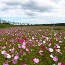 경포저류지 이미지