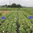 종근축산 이미지