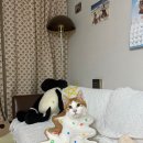 오송 봄봄 동물병원 이미지