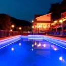 힐링애견 이미지