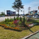 평택-안중-안중-06 이미지