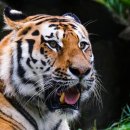 강산이앤씨