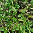 병순농장 이미지