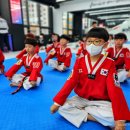 품 태권도 이미지