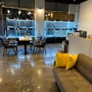 수원강아지분양 드림독 안심분양센터 수원점 이미지