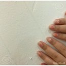 띠애네일 이미지