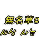 색동가