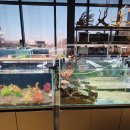 카페인카 이미지