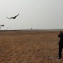 전북야생동물구조관리센터 이미지